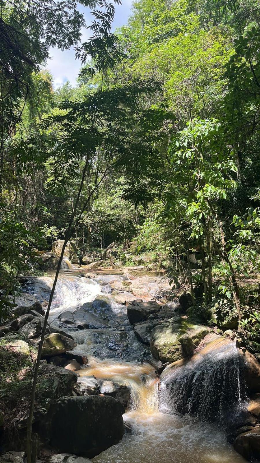 Chalés Quinta da Bocaina Amparo  Kültér fotó
